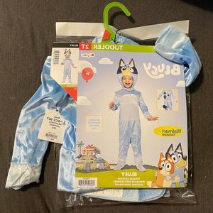 Bluey Halloween costume